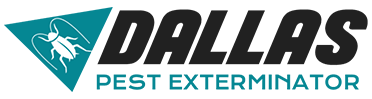 Best Dallas Exterminator