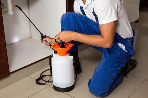 home pest technician